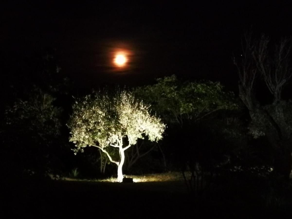 La Bastide Du Limon Apart otel Mormoiron Dış mekan fotoğraf