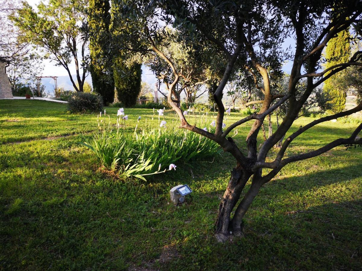 La Bastide Du Limon Apart otel Mormoiron Dış mekan fotoğraf